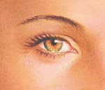 Closeup of Illustrated Eye